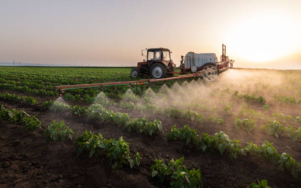 Professional Pest Control in Beckett, NJ