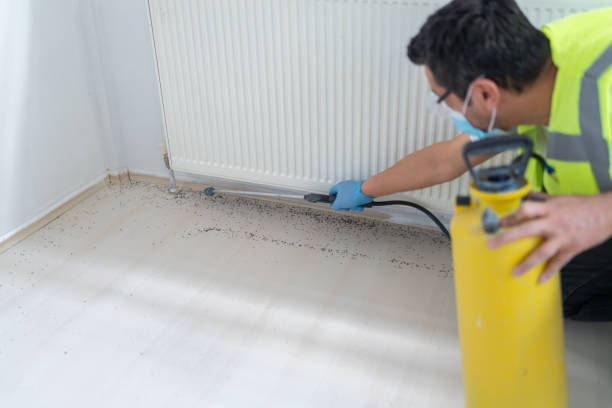 Best Pest Inspection Near Me  in Beckett, NJ